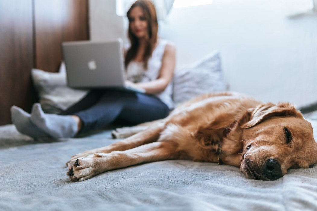 we-work-remotely